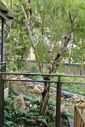 The Miltonia Residences (D27), Condominium #560758271